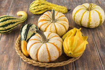 Variety of colorful gourds.