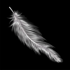 Obraz premium Feather isolated. Vector illustration. EPS 10.