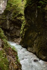 waterfall in the forest