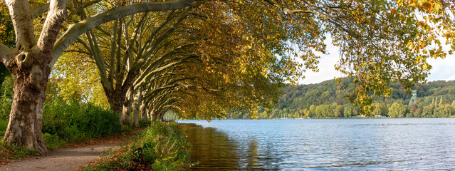 Trees and path along the shoreline of Baldeneysee reservoir near Essen in Germany's Ruhrgebiet in autumn - obrazy, fototapety, plakaty