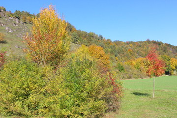herbst