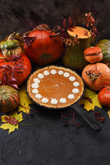 Traditional Thanksgiving pumpkin pie with whipped cream in cast iron pan served with raw pumpkins and squashes on black background copy space. Low key still life