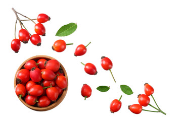 rosehip berries with green leaves isolated on white background. Top view