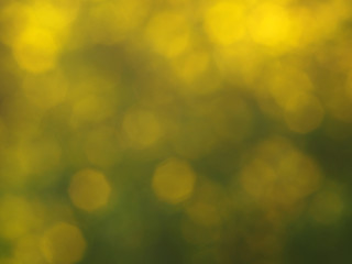 Green and yellow colored abstract light background.Natural outdoors bokeh backdrop in green and yellow tones with sun rays. Abstract blur spring meadow pattern. 