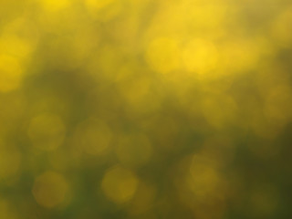 Green and yellow colored abstract light background.Natural outdoors bokeh backdrop in green and...
