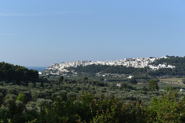 Fototapeta na wymiar vista di Peschici dall'alto di una collina