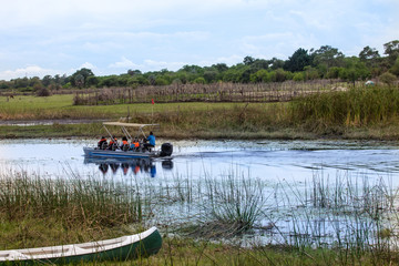 Fototapeta na wymiar Okavango Delta