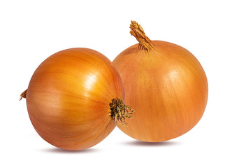Fototapeta premium Fresh onion isolated on white background with clipping path