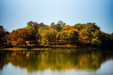 Lake Fairfax in Autumn