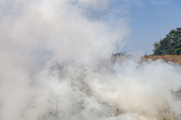 Fire in the meadow, billowing thick smoke