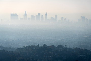 Thick layer of smog and haze from nearby brush fire obscuring the view of downtown Los Angeles buildings in Southern California.   Shot from hilltop in popular Griffith Park.   - obrazy, fototapety, plakaty