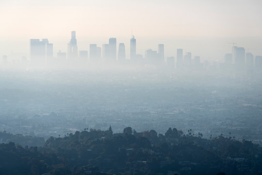 Thick layer of smog and haze from nearby brush fire obscuring the view of downtown Los Angeles buildings in Southern California.   Shot from hilltop in popular Griffith Park.  