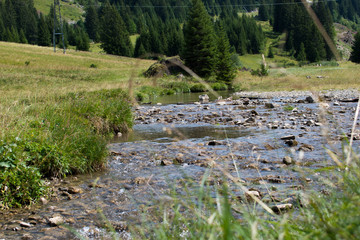 Naklejka premium riviere en montagne