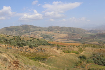 Fototapeta na wymiar Paesaggi di campagna in Sicilia
