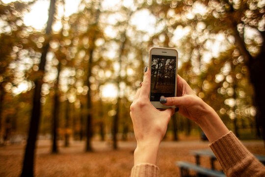 Female hand takes pictures of a beautiful autumn park on the phone. Lifestyle. 