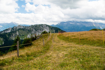Fototapeta na wymiar Montagne paysage