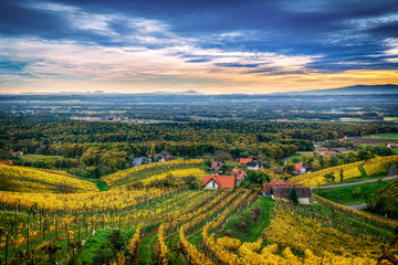 Weinbau in der Steiermark