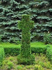 a cross of green vegetation