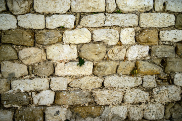 stone wall texture