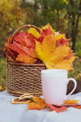 autumn tea party. cup with tea and maple leaves. Maple leaves in a basket.