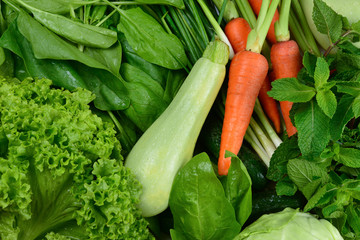 Fresh vegetables and herbs as a background.