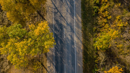 Drone's Eye Autumn road: aerial top down view of lane between foliage tree