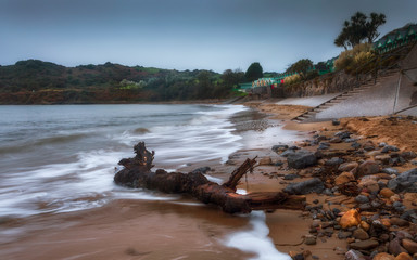 High tide and driftwood at Langland Bay, one of the most popular beaches on the Gower peninsula in Swansea, South Wales, UK.