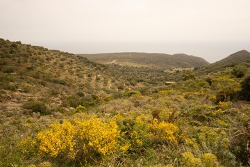 Paysage de colline et maquis espagnol