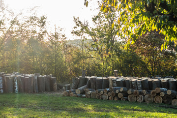 Baumstämme zu Brennholz gesägt © focus finder