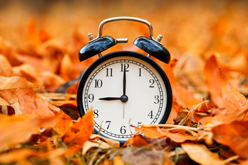 Autumn concept. Alarm clock black on a background of yellow fallen foliage. Fall season