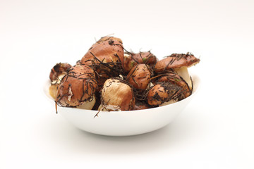 Suillus mushrooms in a ceramic soup plate isolated on a white background. Armful of dirty, unpeeled, butter fungi