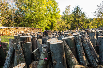 Baumstämme zu Brennholz gesägt und gestapelt © focus finder