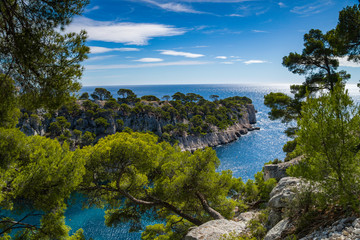 Obraz premium Amazing viewpoint on the cliffs, Calanques de Port Pin bay, Calanques National Park near Cassis fishing village, Provence, South France, Europe