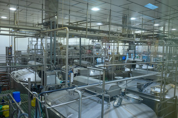 Plant and production of dairy products. Cheeses, milk.