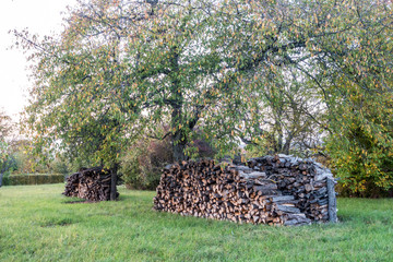 Baumstämme zu Brennholz gesägt und gestapelt © focus finder