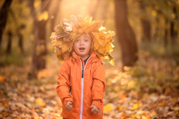 Surprised little child in crown of autumn leaves with funny face and open mouth standing in park or...