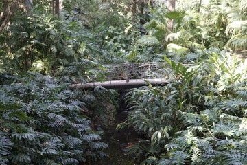 puente emboscado jardin botanico la concepcion malaga andalucia espa&ntilde;a