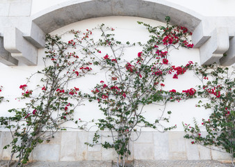 Fototapete bei efototapeten.de bestellen   