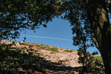 Paisajes del cielo entre arboles