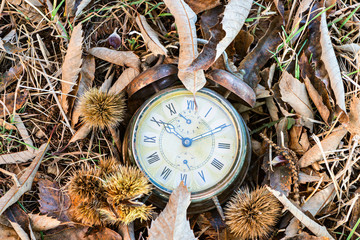 Detail old alarm clocks