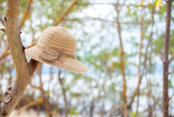 A Beautiful summer hat in the tree.