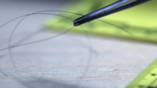 Macro shot of forensic csi police officer collecting hair sample as evidence on crime scene