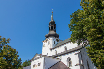 Fototapeta na wymiar St. Mary's Cathedral in Tallinn, the capital of Estonia.