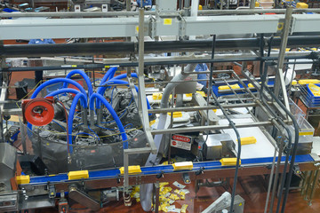 Production of dairy products. Plant, factory in operating mode. Automation of production, conveyors