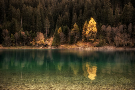 Yellow... (Sufers lake, Switzerland)