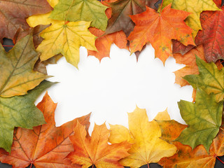 Naklejka na ściany i meble Frame composed of colorful autumn leaves on white background. Autumn mockup with copy space for your design. Flat lay style.