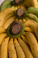 Kiście bananów © nitka_zaplatana