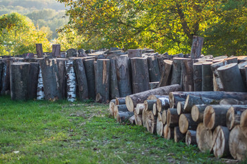 Baumstämme zu Brennholz gesägt und gestapelt © focus finder