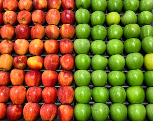 Green and Red Apples on Display