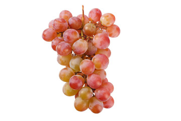 wild grapes isolated on a white background. Food